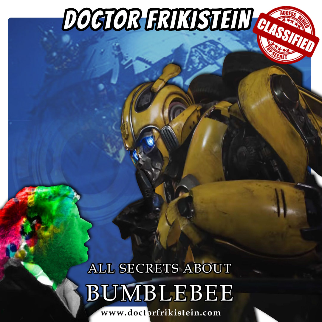 ALL SECRETS ABOUT BUMBLEBEE